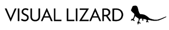 Visual Lizard Inc - logo
